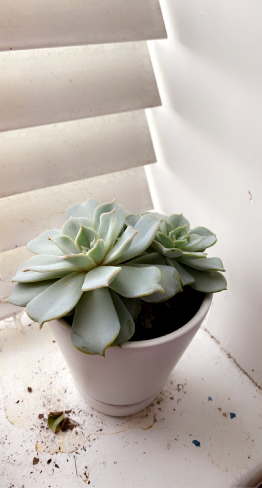 Lets Talk About&nbsp;Ecology