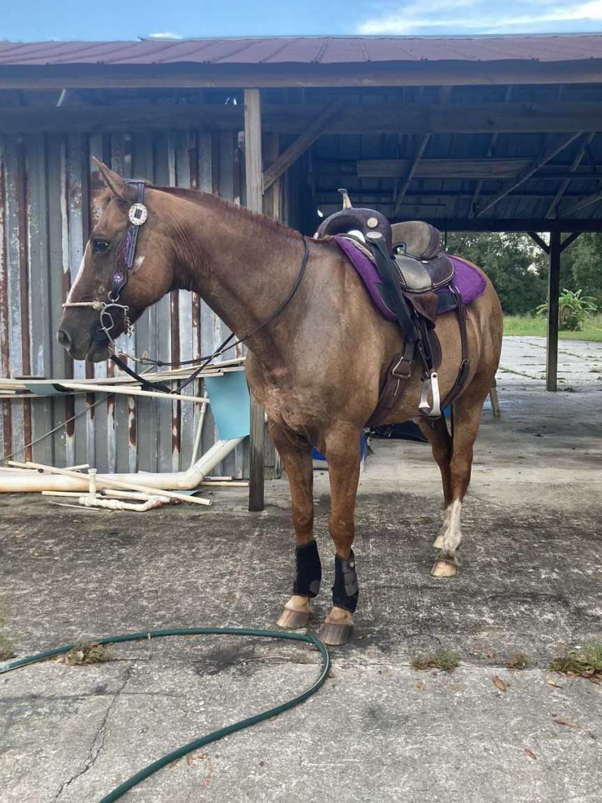 What’s Going On With&nbsp;Rodeo