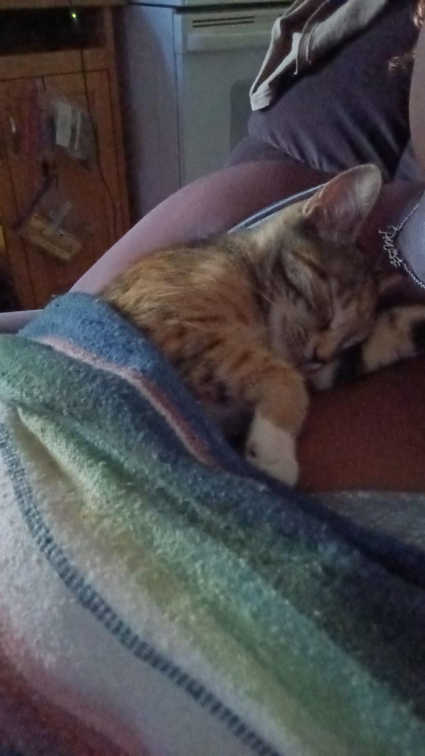 Raising Pets When They’re&nbsp;Small