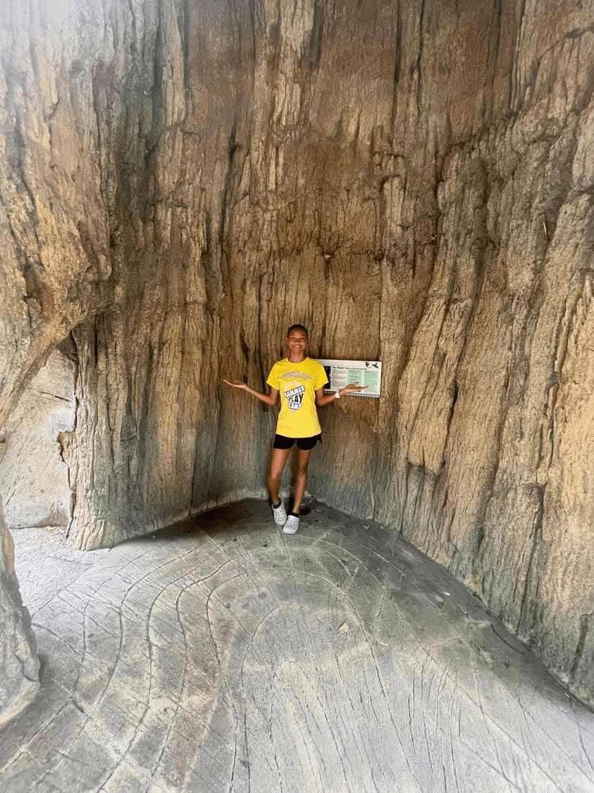 Explore A Zoo Or An&nbsp;Aquarium